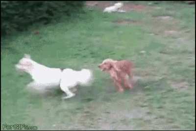 Follow me... SIKE