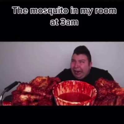 mosquit🤮🤮