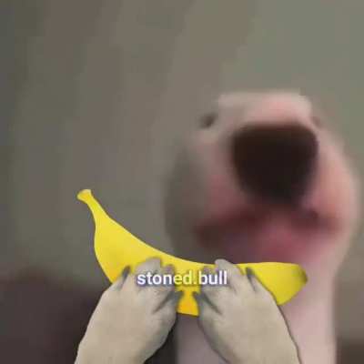 Para Mati