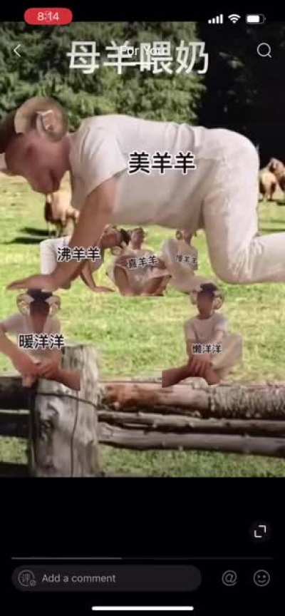 cursed_lamb