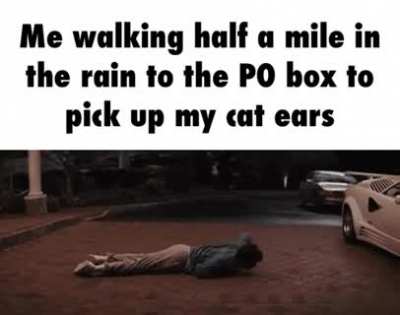 I WILL pick up those cat ears
