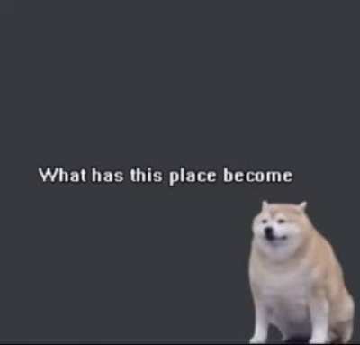WHERE TF IS THE DISCORD, YOU PLEBS!?