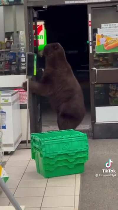 Bear opens 7-Eleven door, lady screams “get out!”.