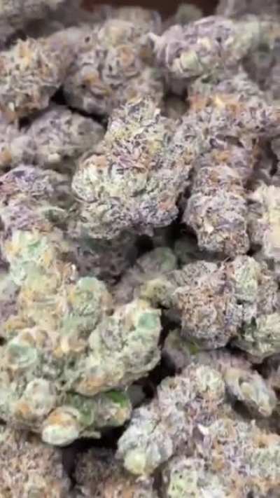 Apricot gelato came down today man this one is just different