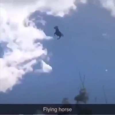 WOW