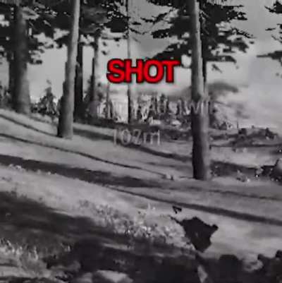 I'M GETTING SHOT