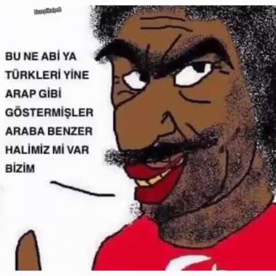 Turkish internet