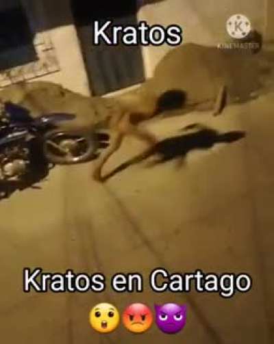 Xd