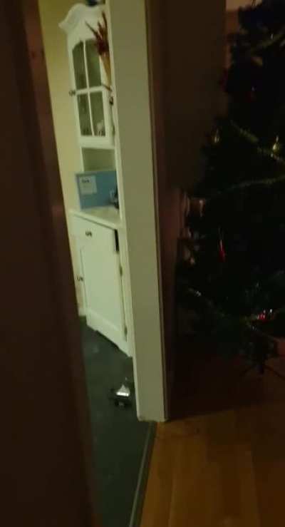 Scaring a friend