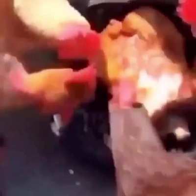 Cursed_KFC