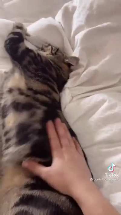 Vet the go don’t want he to to
