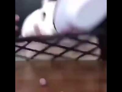 ⁿ
