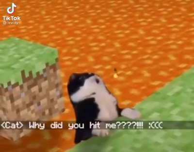 Minecraftiran - Video #6547