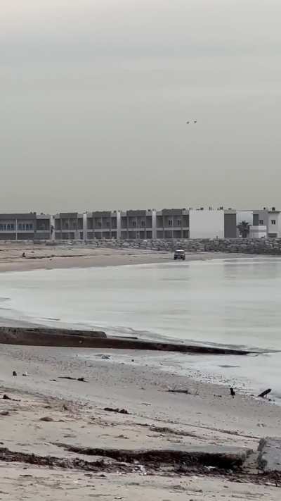 My friend took this video today while walking his dog on the beach in Abu Al Hasaniya