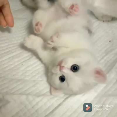 Pink jelly beans