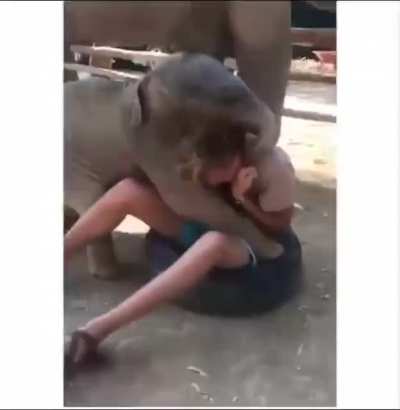 ele