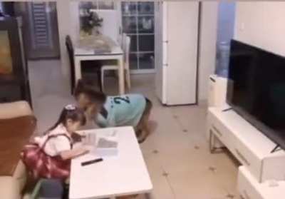 Hey human daddy home!