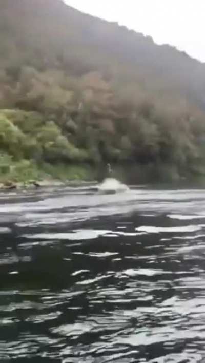 Flying boat