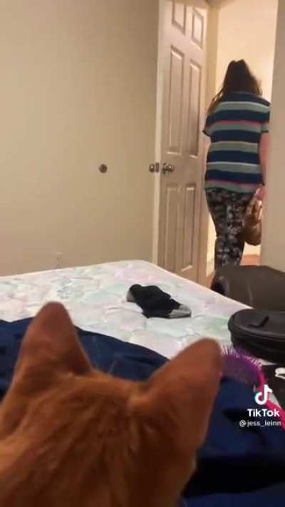 Where’s my cat I need to try this.