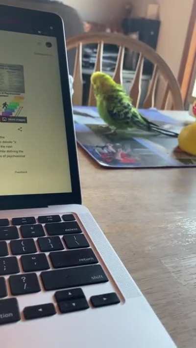 Birb got scared