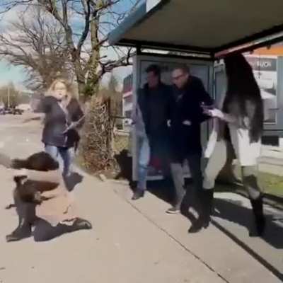 Just a sneeze
