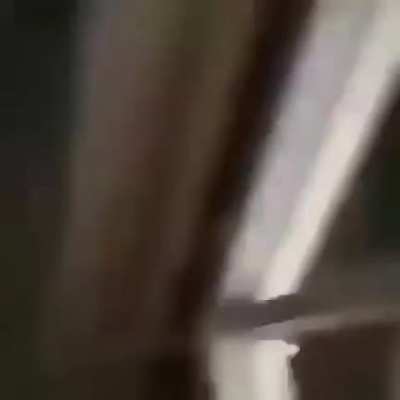 Pal gulag