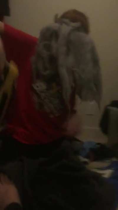 im a spider.