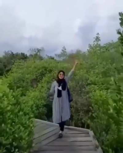 To walk backwards successfully