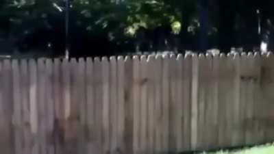 Fixing the fence...