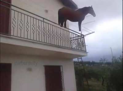 juan