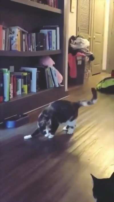 Got the moves