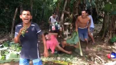 Jungle Fun.