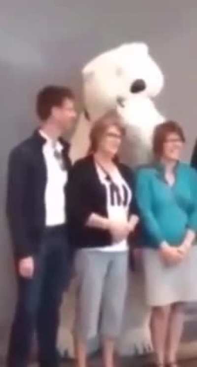 Coca-cola bear