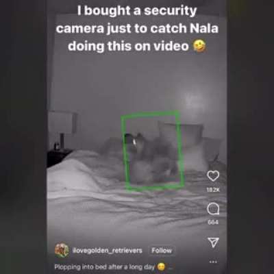 Cutest trust fall!