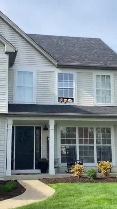 The cutest security system
