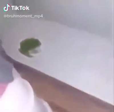 Frög