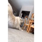 Big boi hits every woah