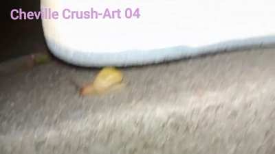 Cheville Crush 04
