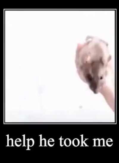 i dont have friends irl