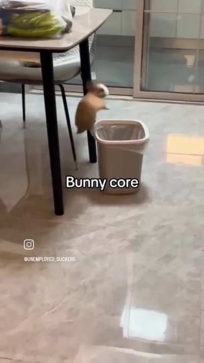 Bun