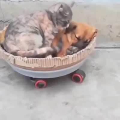 Миллион милоты