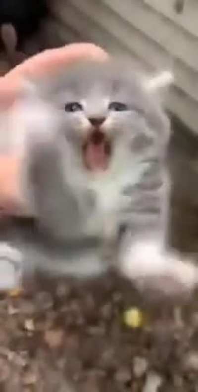 Not happy >:(