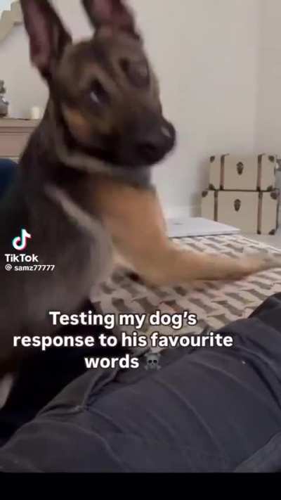 Huh?