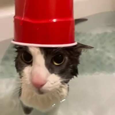 Soggy cat rule