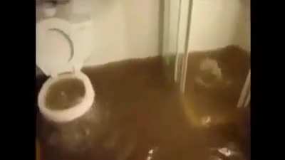Pipi pupu