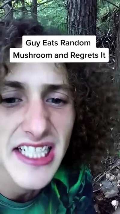 Crawling mushroom