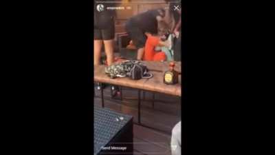 short lounge spat