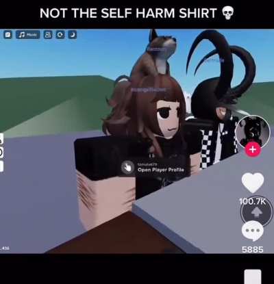 Someone needs to check on the roblox kids