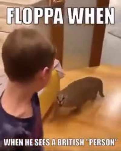 rule