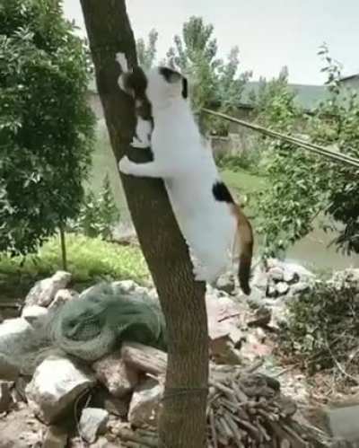 Help has arrived!